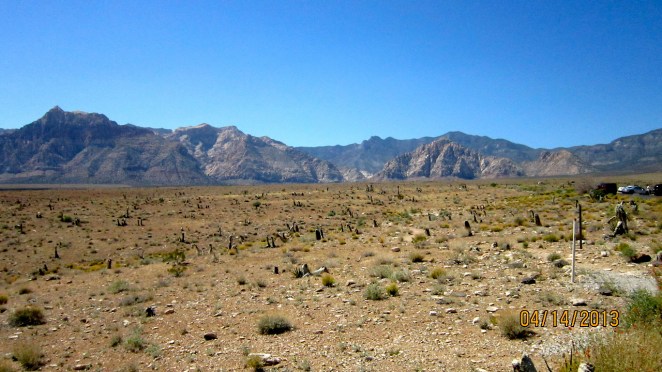 tumblr_mlhfq7gdxK1qb8nz3o10_1280