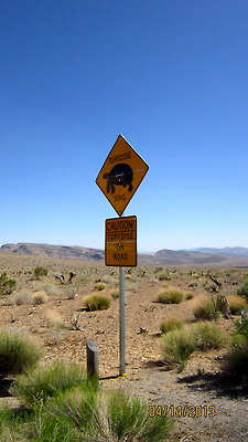 tumblr_mlhg13rOoR1qb8nz3o6_250